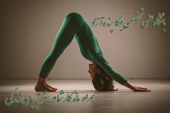 ,آموزش یوگا در کرج, کلاس یوگا در کرج, باشگاه یوگا در کرج, یوگا, یوگاکرج, یوگا کرج ,یوگا در کرج, یوگا عظیمیه, باشگاه یوگا, Yoga, یوگا برای بانوان, یوگا البرز,yoga,  مدیتیشن, یوگا استان البرز, یوگای بانوان کرج, یوگاالبرز, باشگاه یوگا, یوگا در البرز, باشگاه برتر کرج, باشگاه برگزیده البرز,باشگاه نمونه, مربی نمونه کشور, سیمین صدیق, پرنده آزاد یوگا,آدوموکهاشوان آسانا, سگ سرپایین, سلامتی با یوگا, یوگا درمانی, یوگا البرز, کلاس یوگا, یوگا بانوان, یوگا استان البرز, Adho Mukha Svanasana